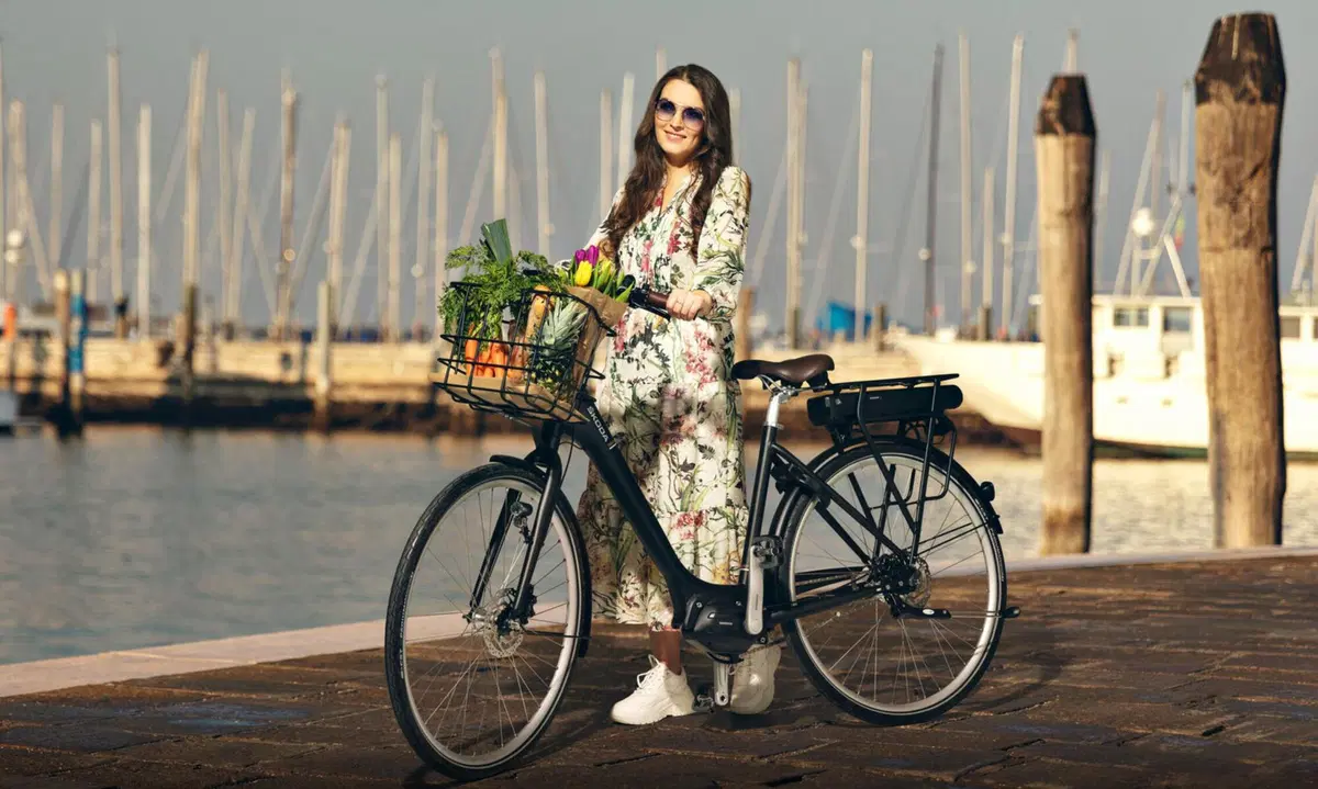 Come ti abbino l'eBike all'automobile (2)