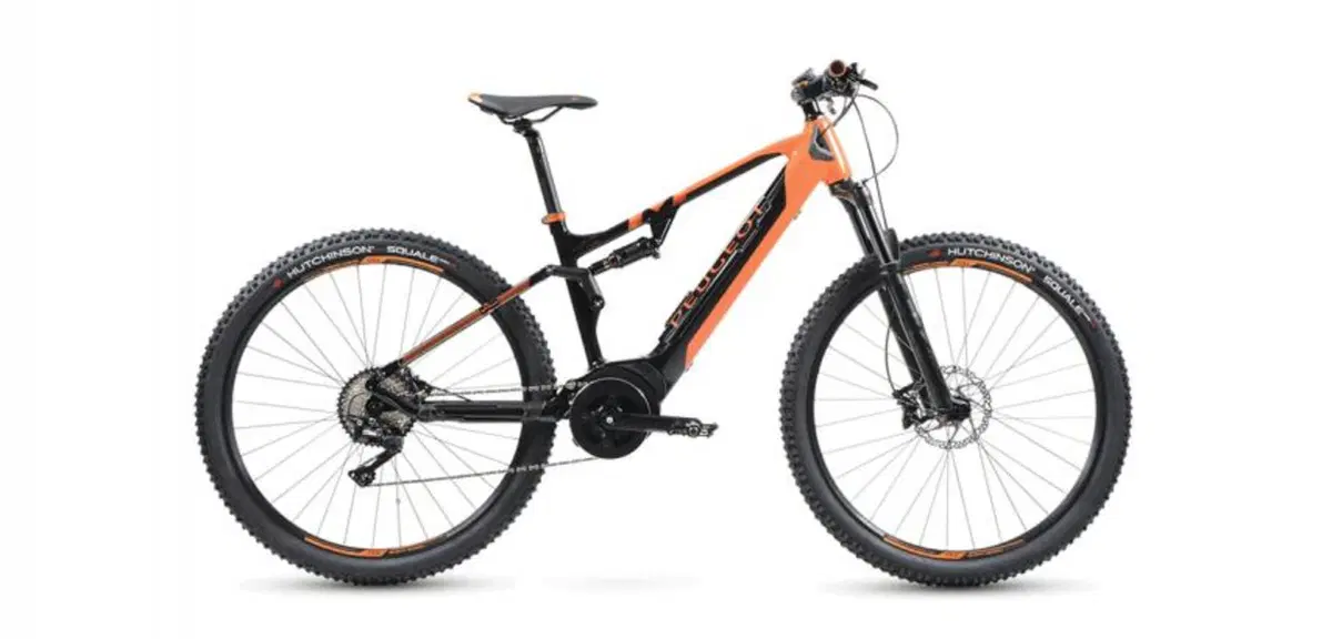 Come ti abbino l'eBike all'automobile (7)
