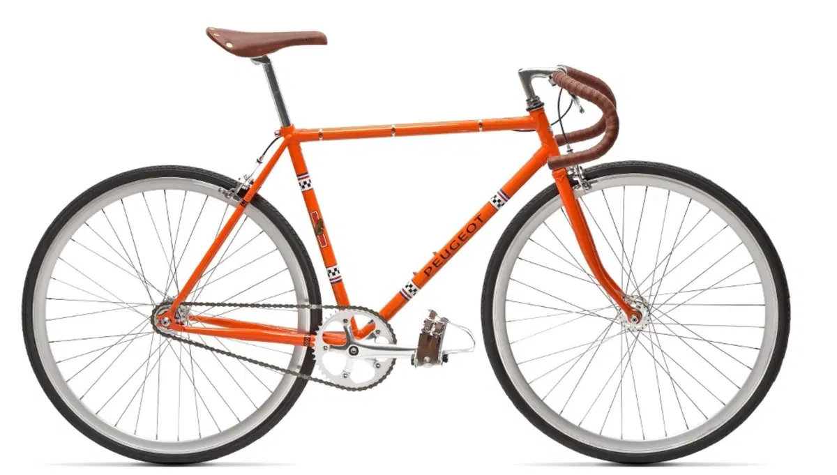 Come ti abbino l'eBike all'automobile (10)