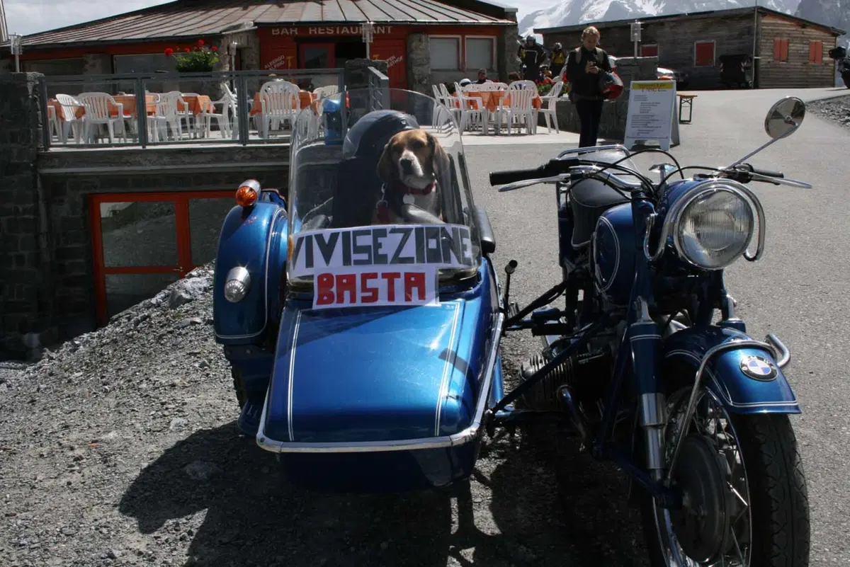 Trentamila al raduno dello Stelvio