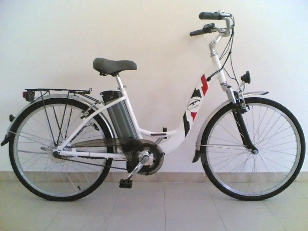Rondine Elettra: offroad full electric (12)