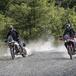 Honda Africa Twin 1100 vs Triumph Tiger Rally 900: SFIDA MAXIENDURO 2020