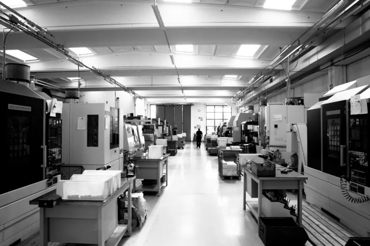 Rizoma, la tecnologia si fa arte (13)