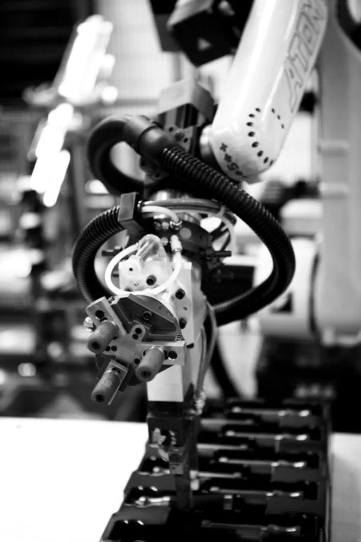 Rizoma, la tecnologia si fa arte (22)
