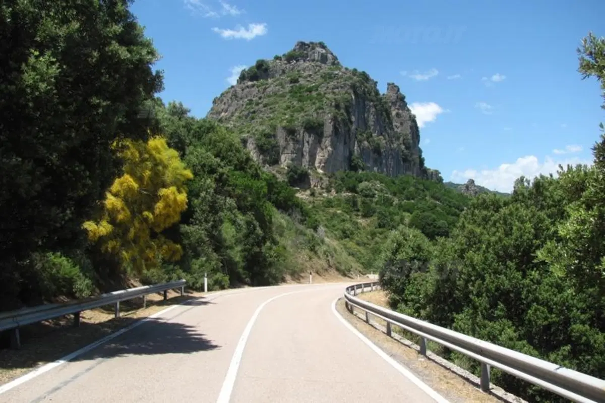 Storie di Motorally. Sardegna Rally Race (7)