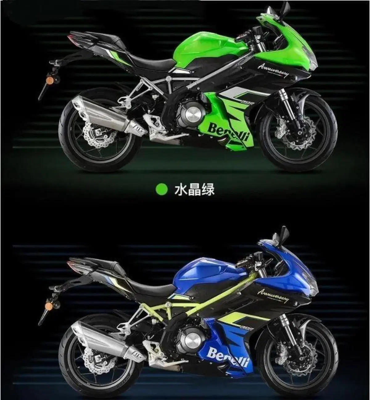 Benelli BN 302R Anniversary (7)
