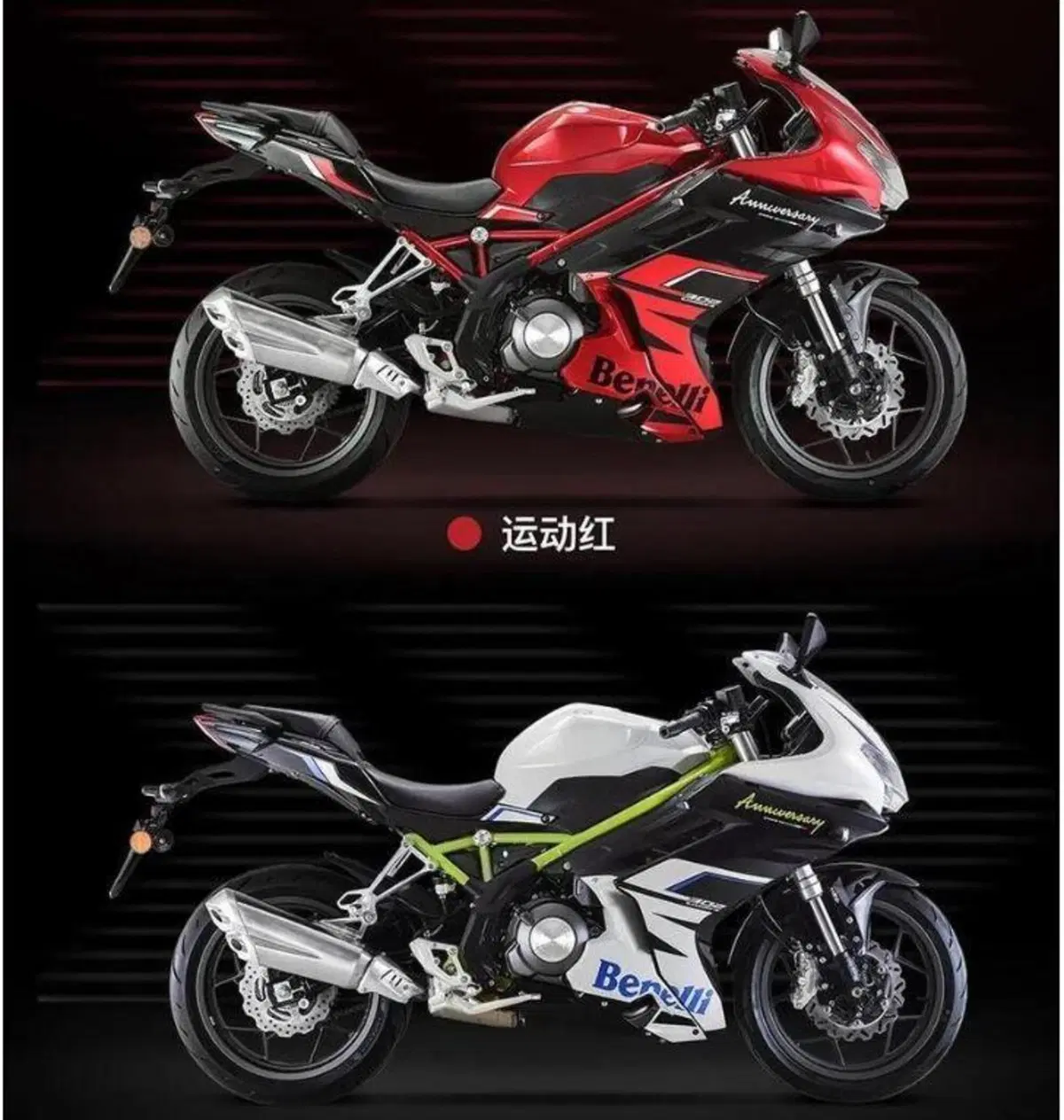 Benelli BN 302R Anniversary (8)