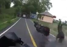 Mai noleggiare uno scooter a Bali [VIDEO CHOC]