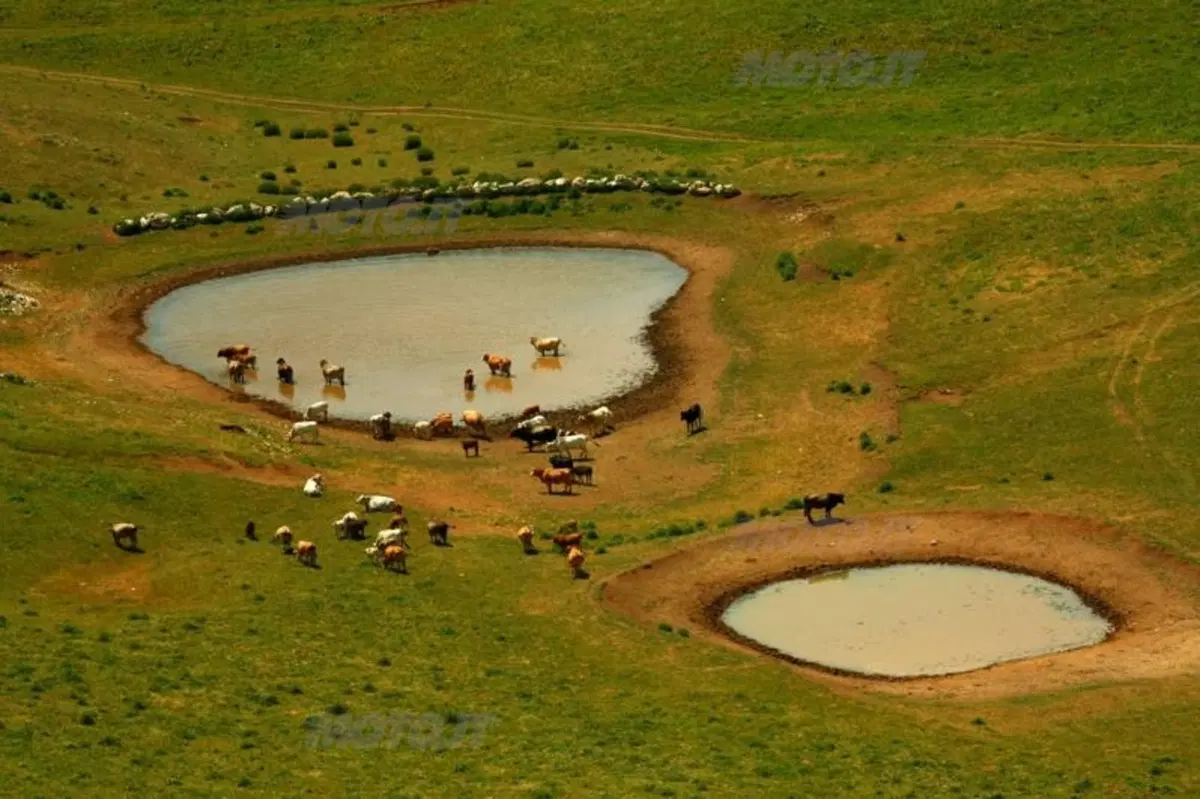 20.000 pieghe 2012: conclusa la quarta edizione al Parco Nazionale d’Abruzzo (45)
