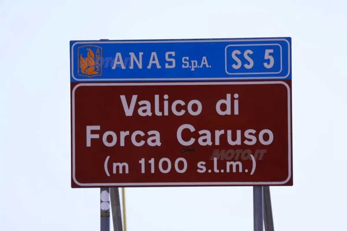 20.000 pieghe 2012: conclusa la quarta edizione al Parco Nazionale d’Abruzzo (54)