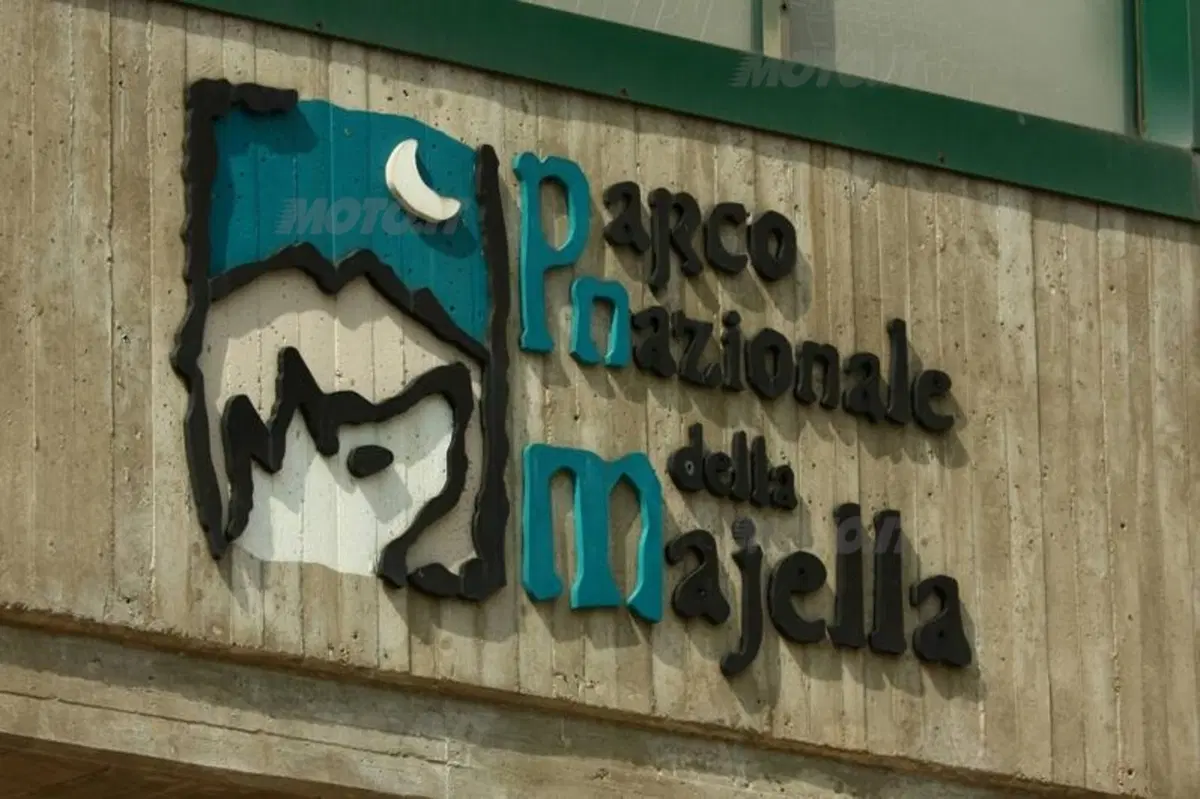 20.000 pieghe 2012: conclusa la quarta edizione al Parco Nazionale d’Abruzzo (58)