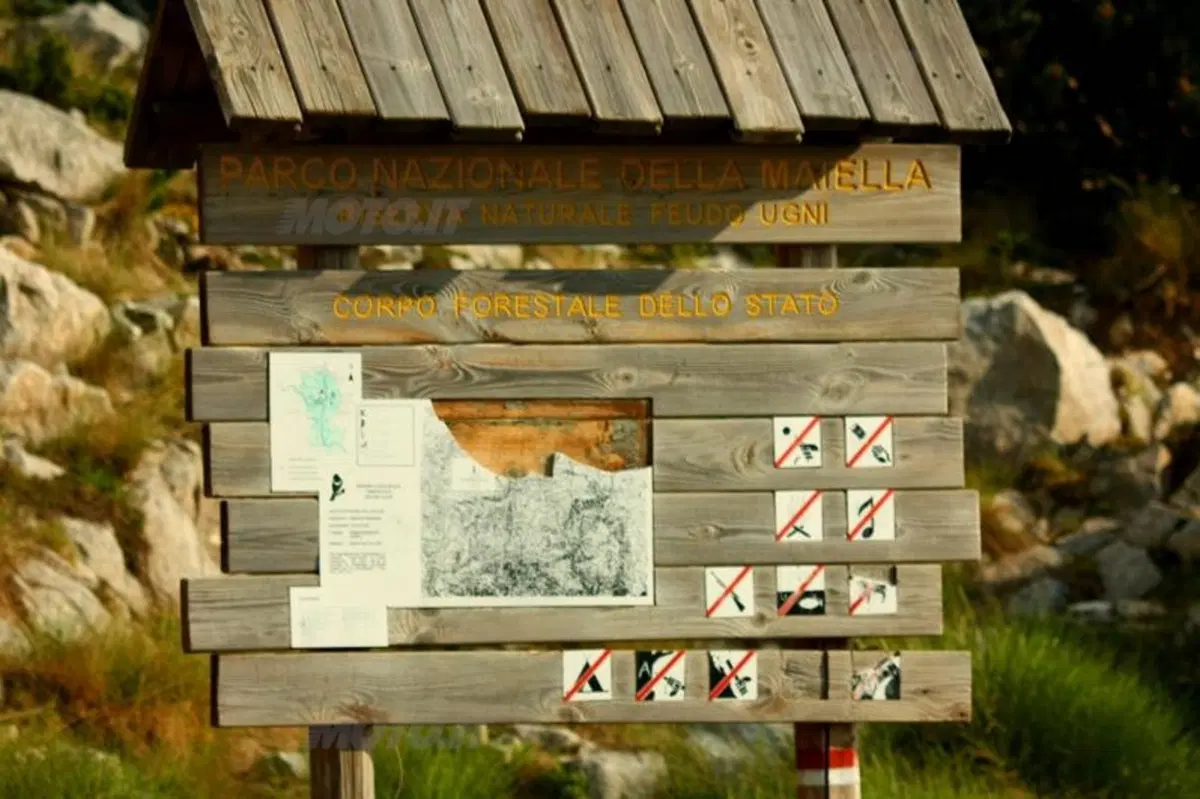 20.000 pieghe 2012: conclusa la quarta edizione al Parco Nazionale d’Abruzzo (60)