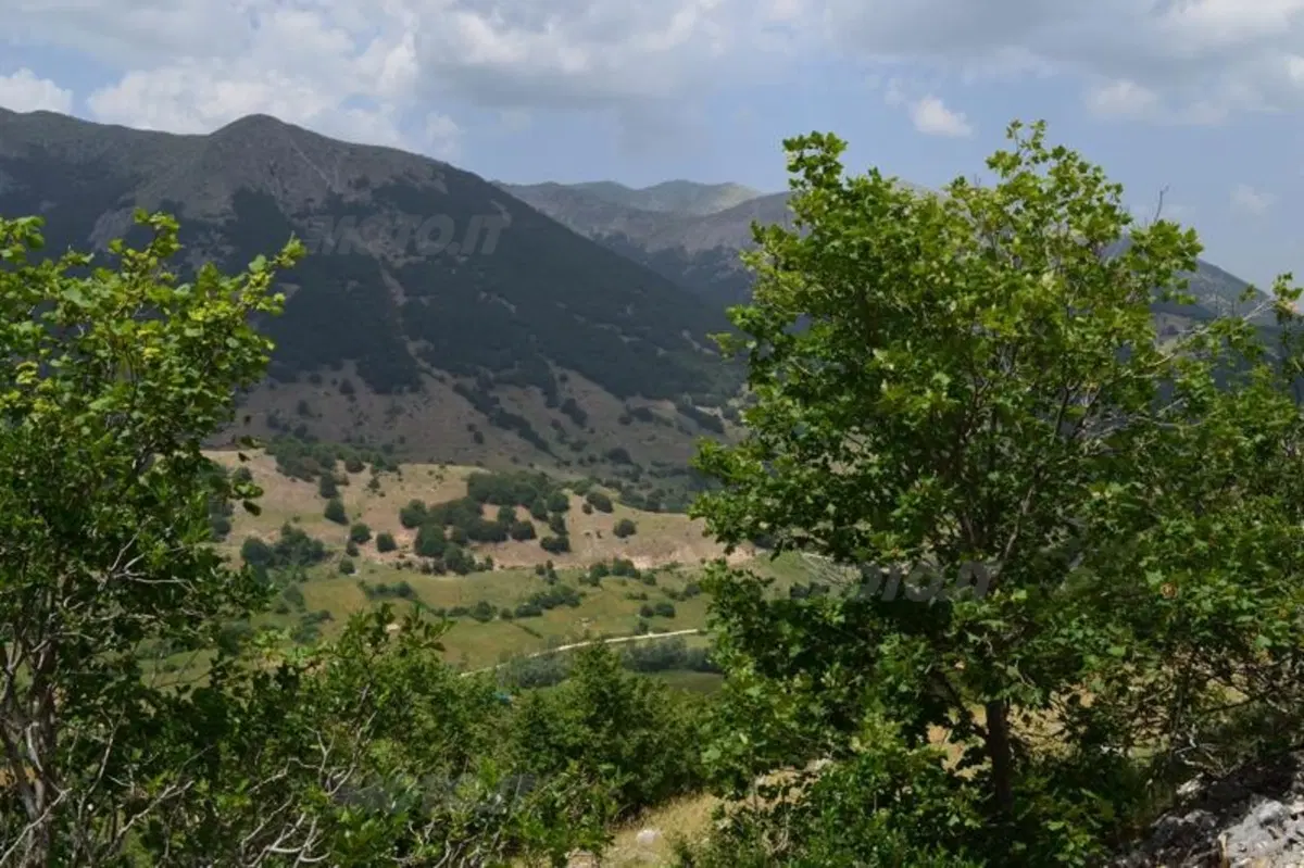 20.000 pieghe 2012: conclusa la quarta edizione al Parco Nazionale d’Abruzzo (72)