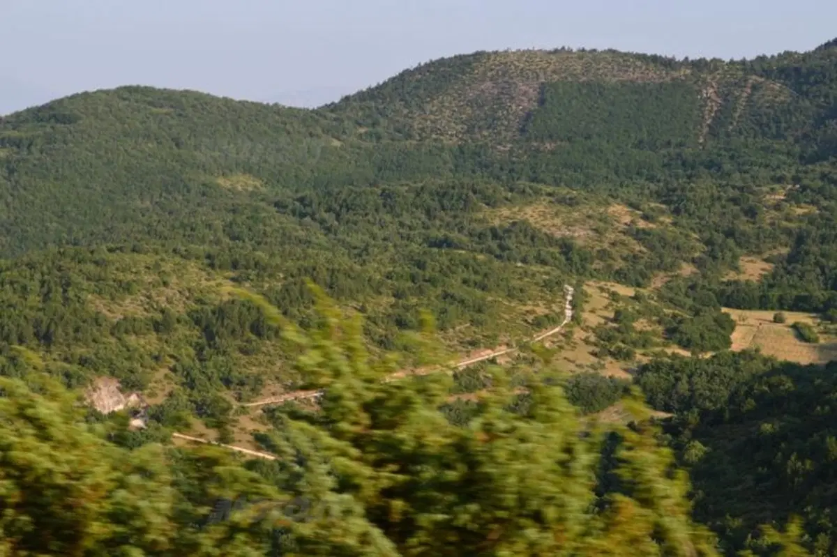 20.000 pieghe 2012: conclusa la quarta edizione al Parco Nazionale d’Abruzzo (76)
