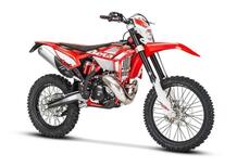 Betamotor RR 300 2T Enduro (2021)