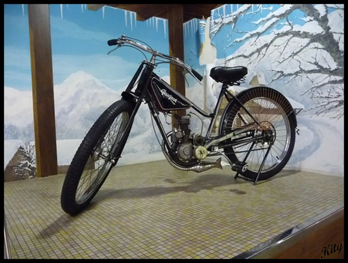 Da Peugeot Motocycles a Peugeot Scooter. 110 anni di tecnologia e innovazione  (5)