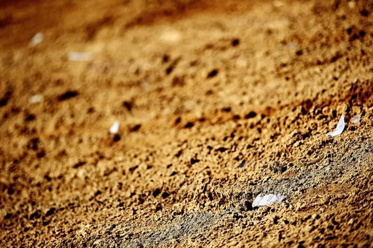 Le foto più  spettacolari del GP di Russia (51)