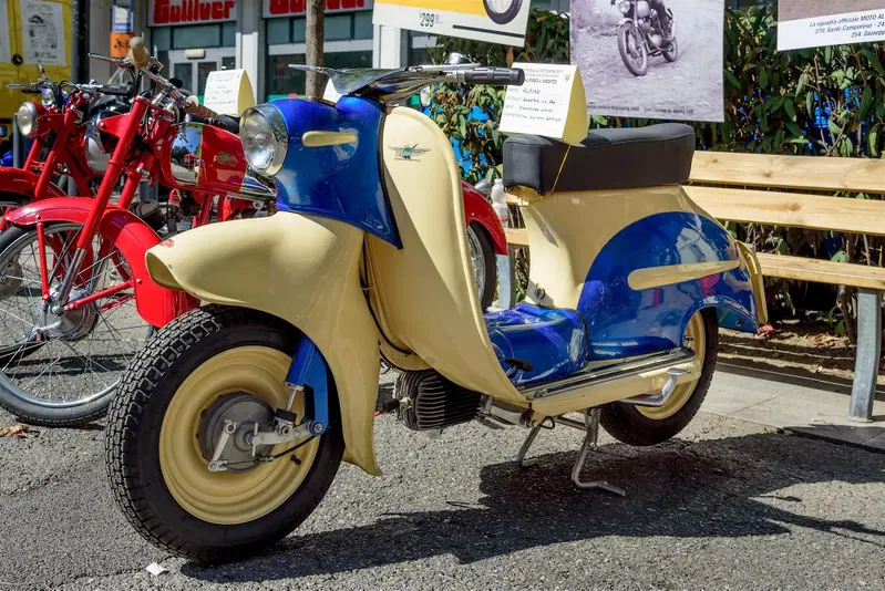 L&rsquo;unico esemplare costruito dello Scooter Alpino di 150 cm3, visibile in questa foto, &egrave; rimasto allo stadio di prototipo. Prodotto dalla FBM di Bologna, questo modello si &egrave; in seguito trasformato nel Guizzo, commercializzato per alcuni anni dalla Palmieri e Gulinelli di Bologna