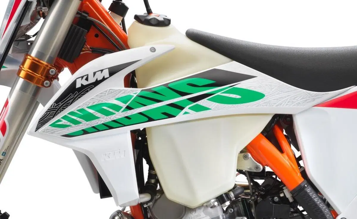 KTM 300 EXC 300 EXC TPI Six Days (2021) (3)