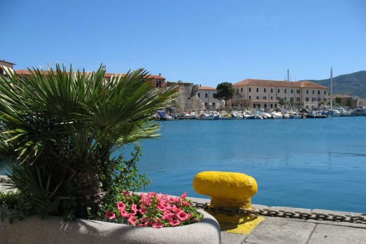 Turismo low cost. All’Isola d’Elba con l’Honda SH 125 (44)