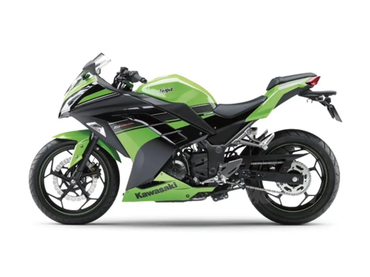 Kawasaki Ninja 250R 2013 (2)