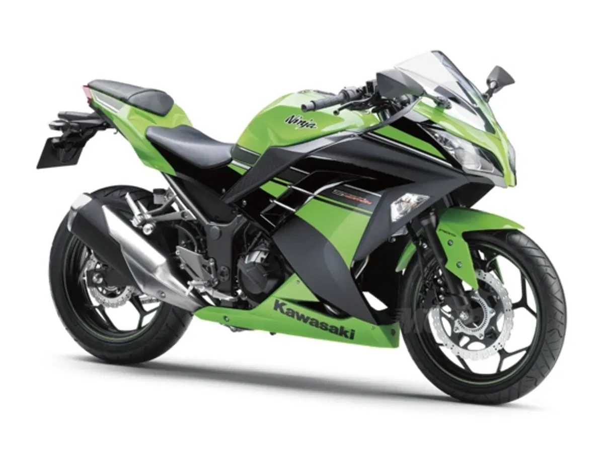 Kawasaki Ninja 250R 2013 (3)