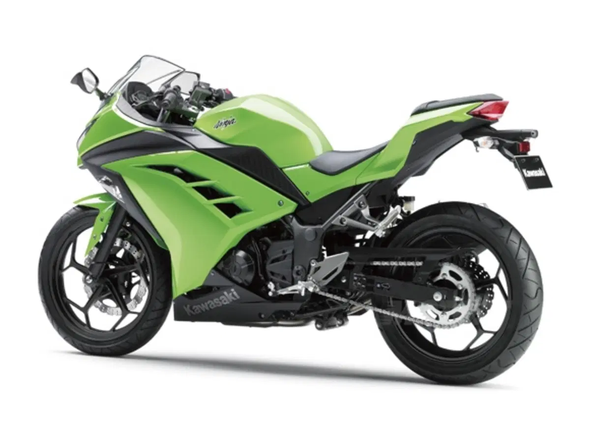 Kawasaki Ninja 250R 2013 (4)