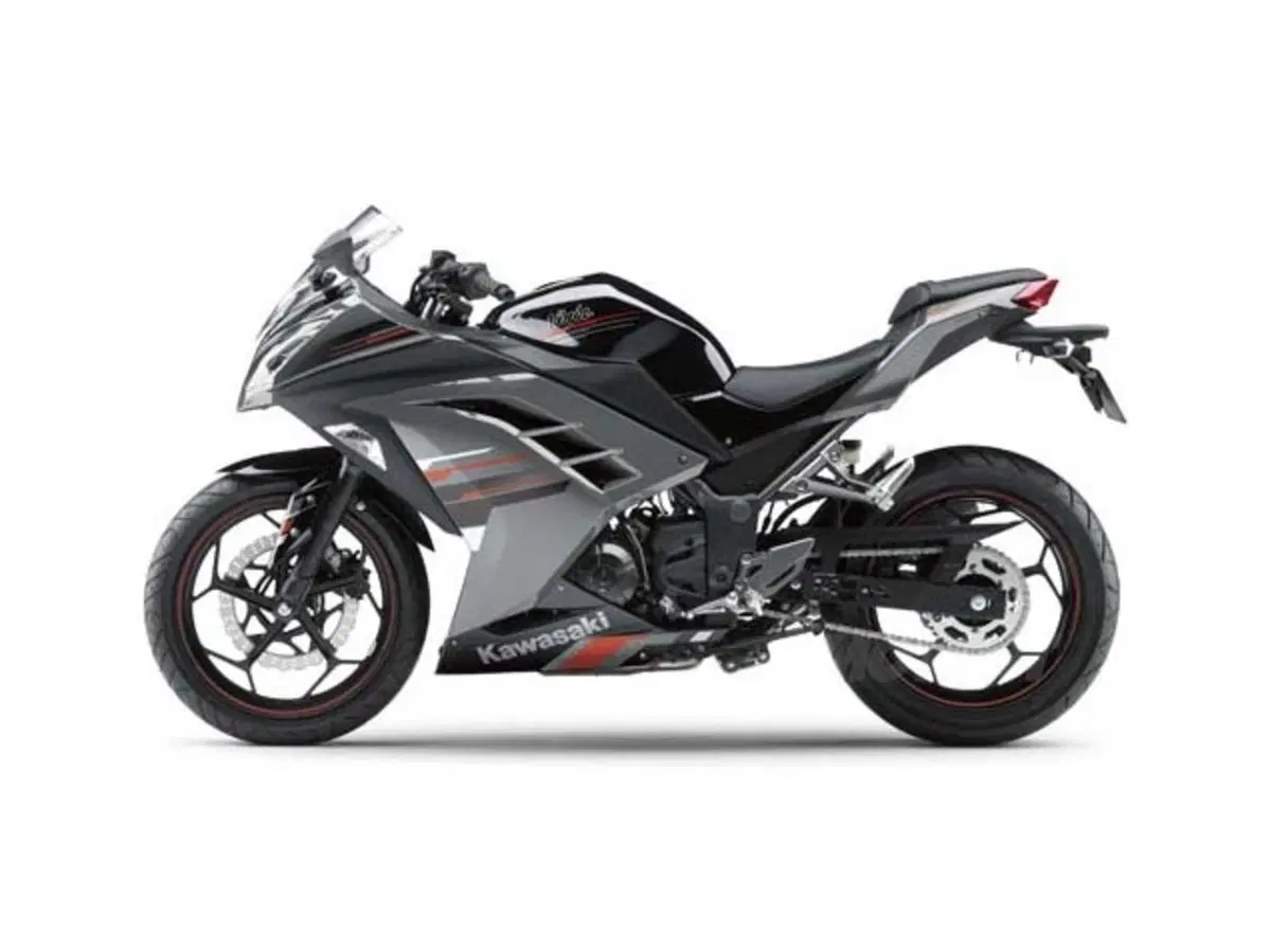 Kawasaki Ninja 250R 2013 (7)