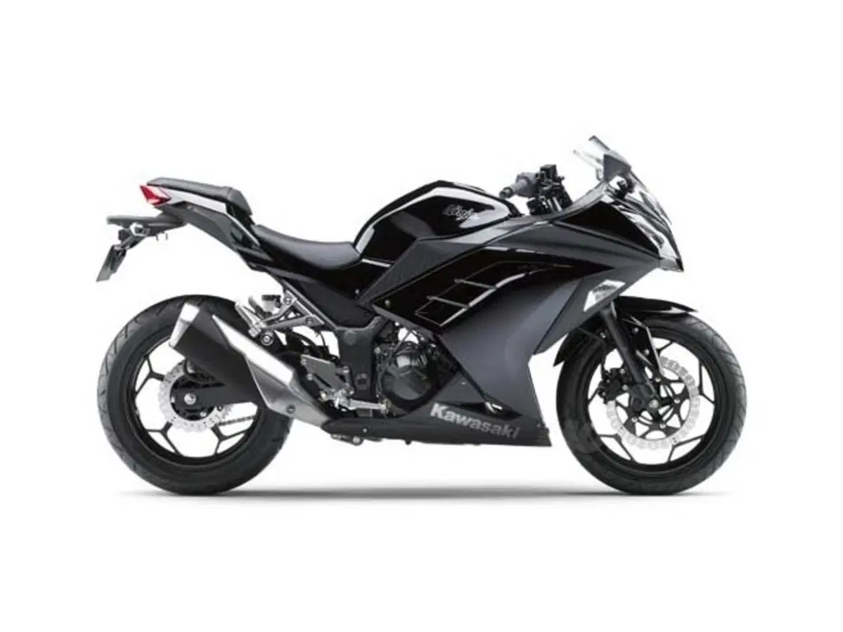 Kawasaki Ninja 250R 2013 (8)
