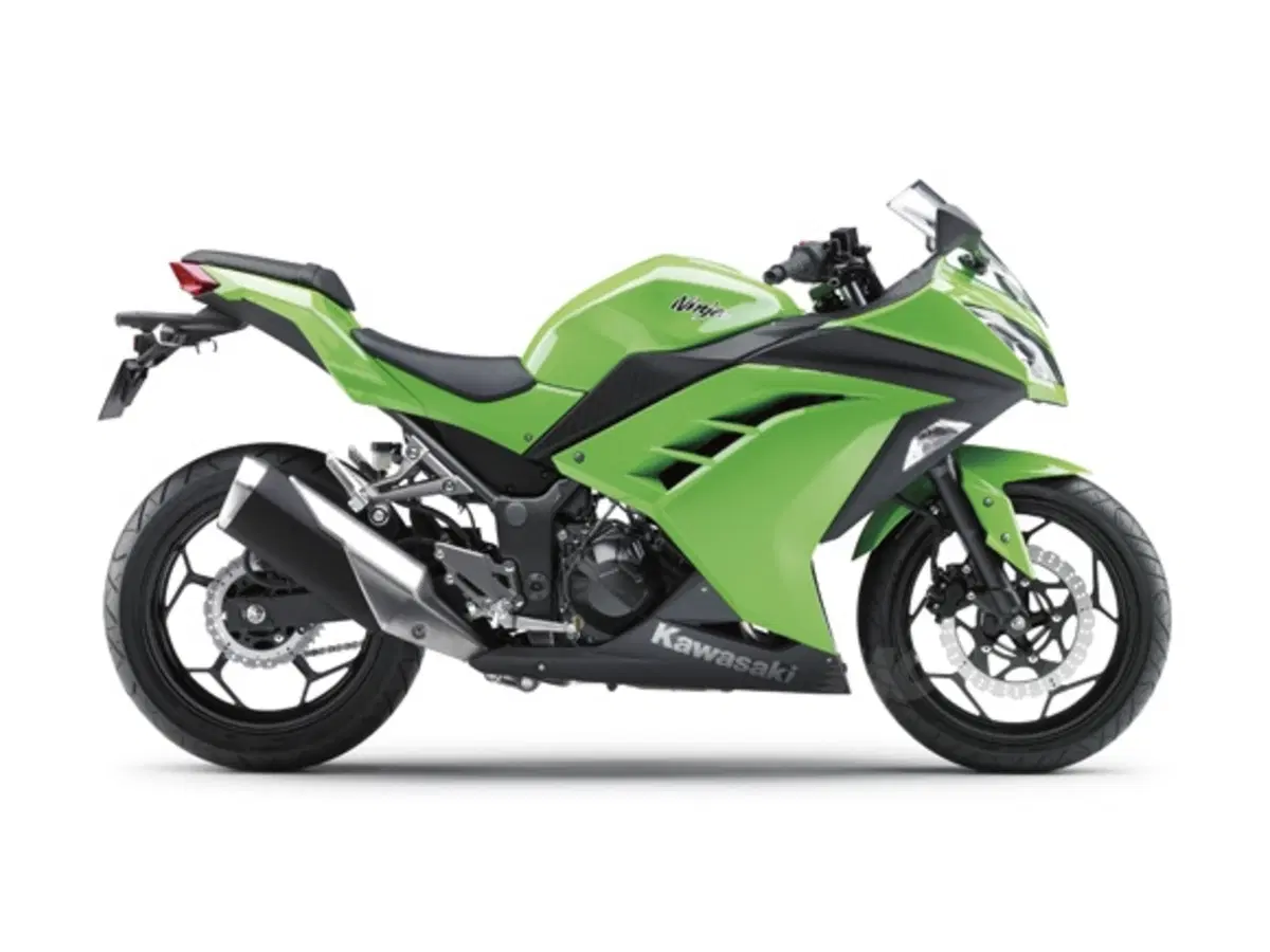 Kawasaki Ninja 250R 2013 (11)