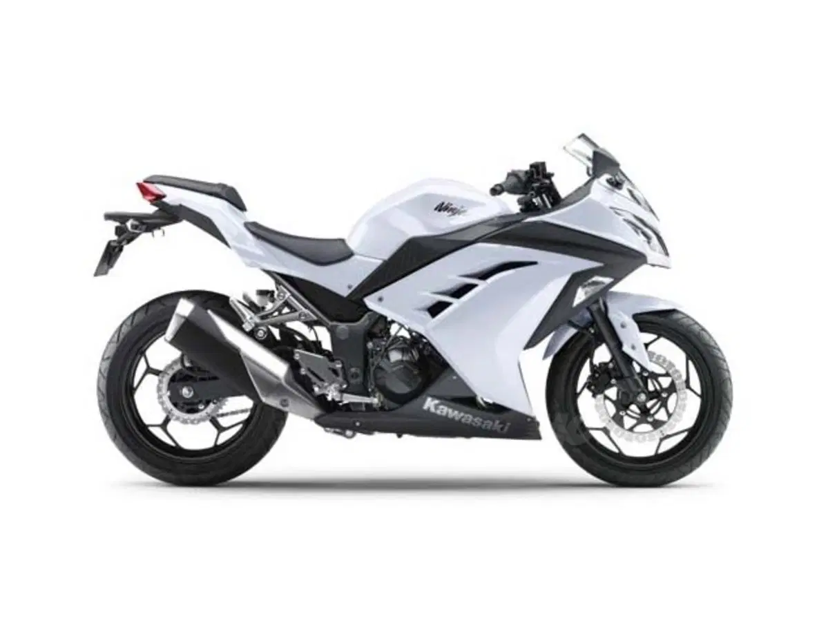 Kawasaki Ninja 250R 2013 (12)