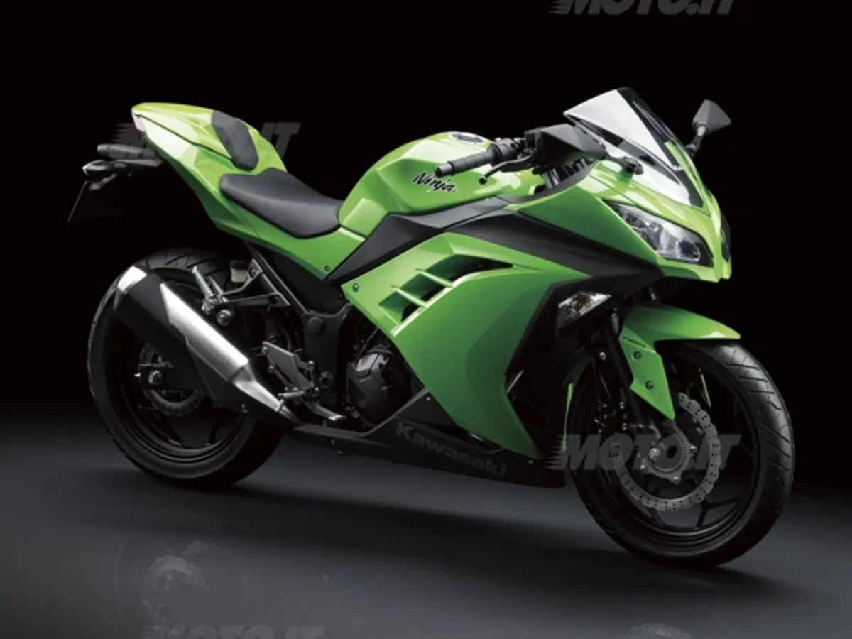 Kawasaki Ninja 250R 2013 (15)