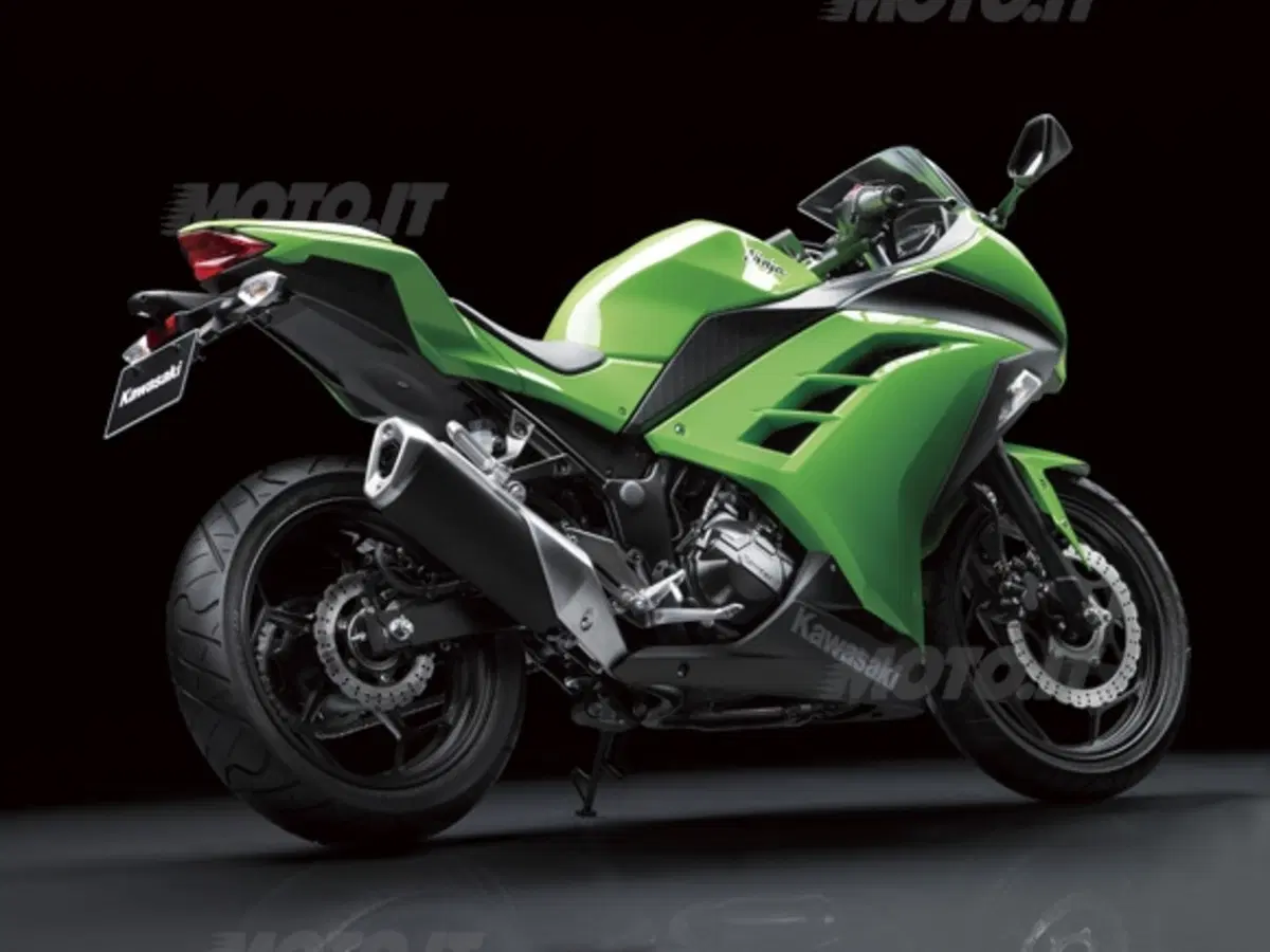 Kawasaki Ninja 250R 2013 (16)