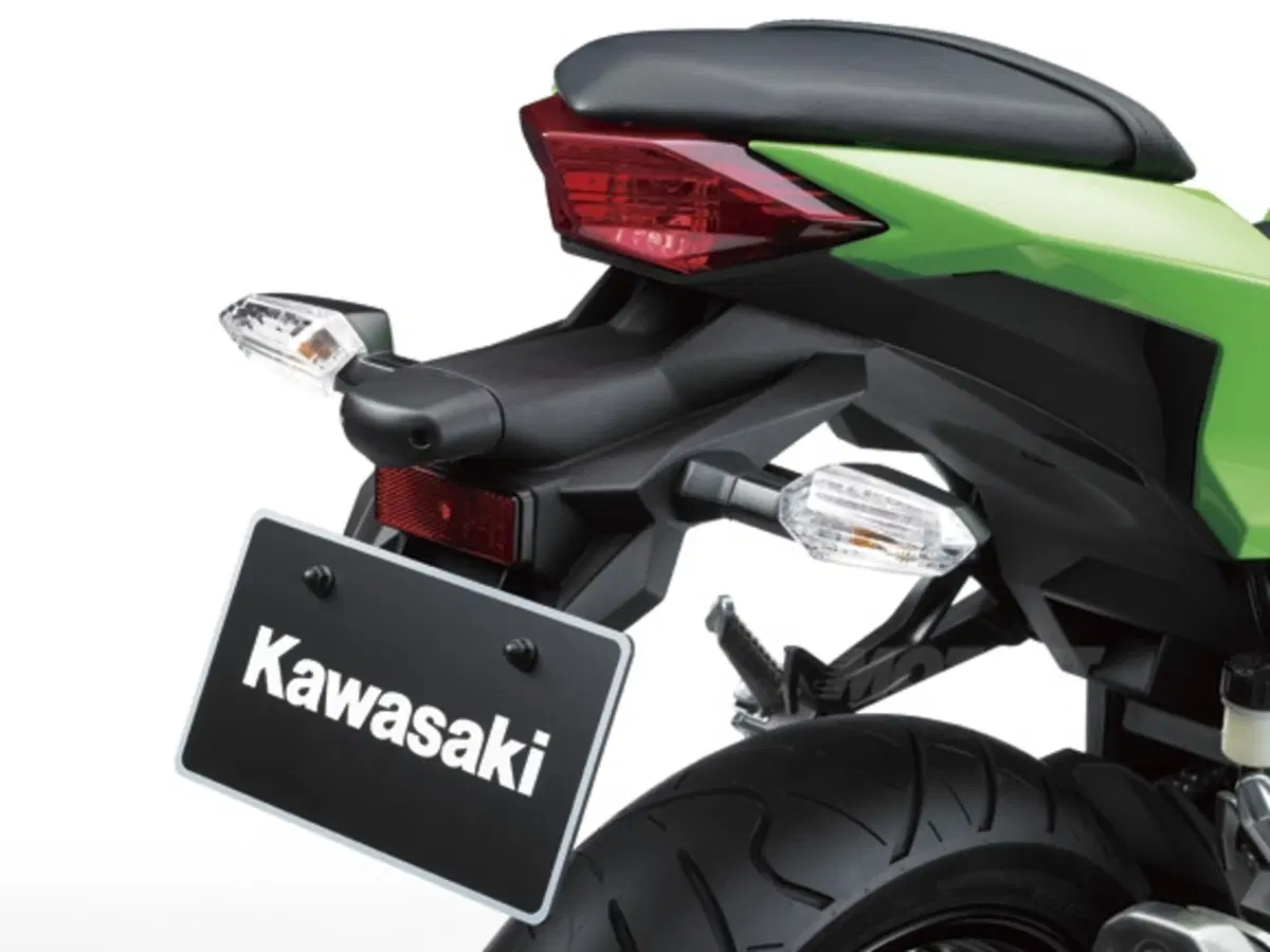Kawasaki Ninja 250R 2013 (19)
