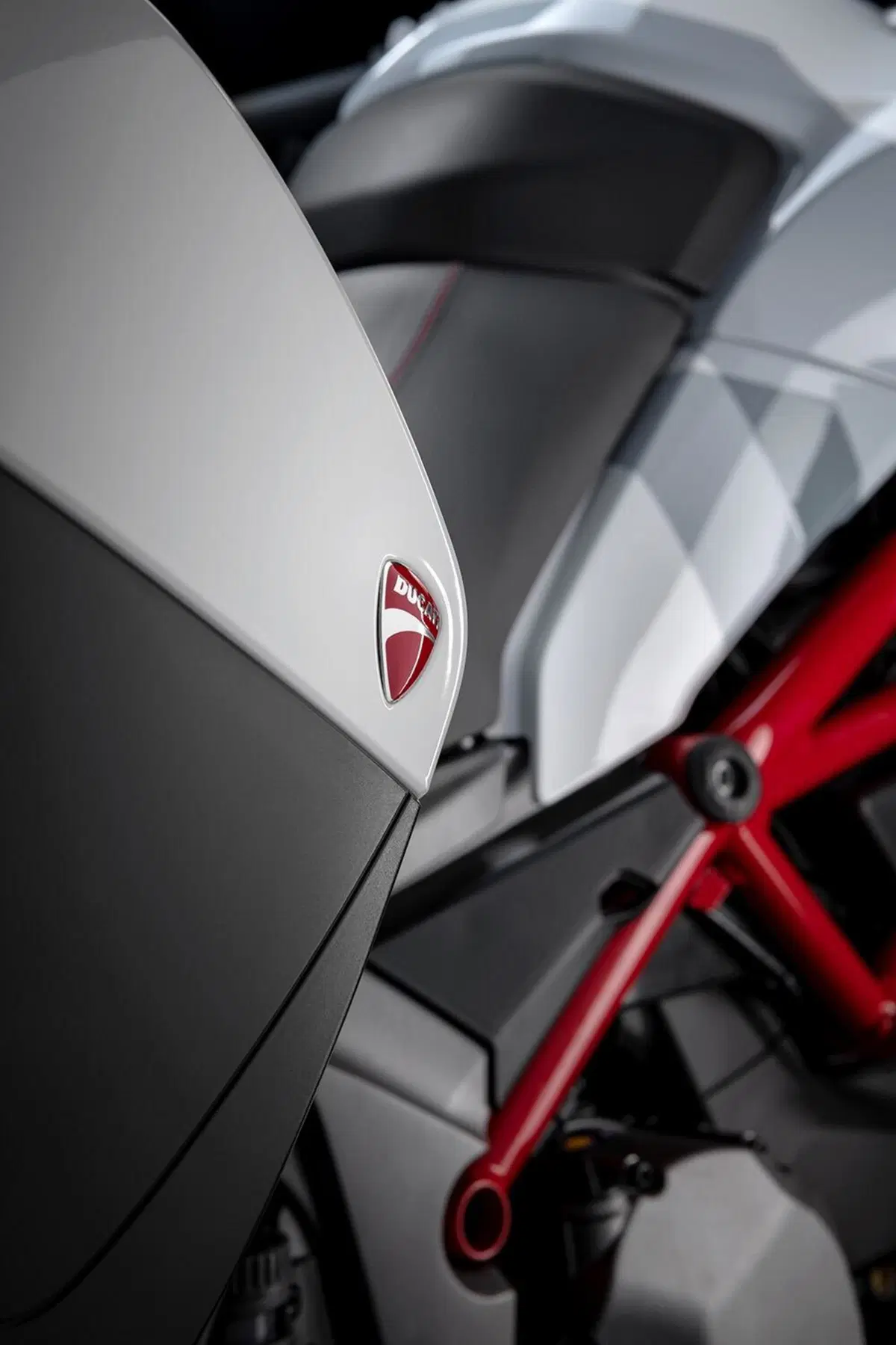 Ducati Multistrada 950 S GP White 2021. Livrea da MotoGP (6)