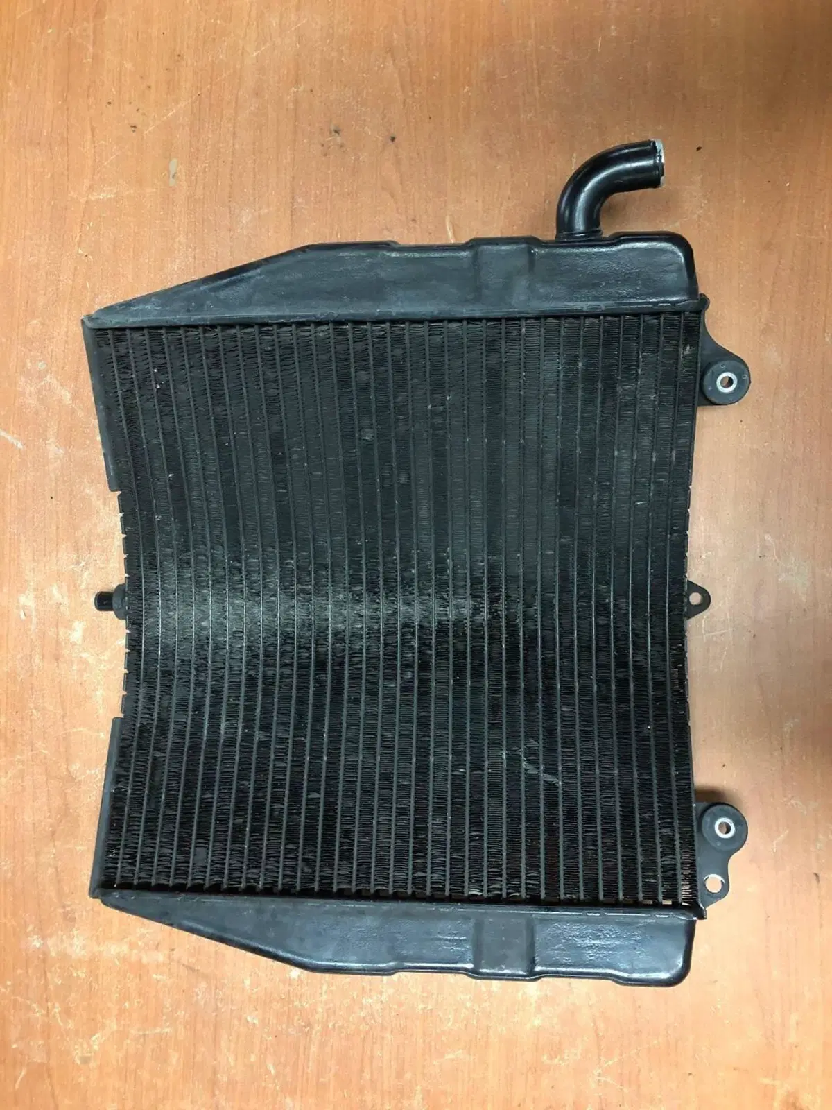 Radiatore per Suzuki RF 600 R (3)