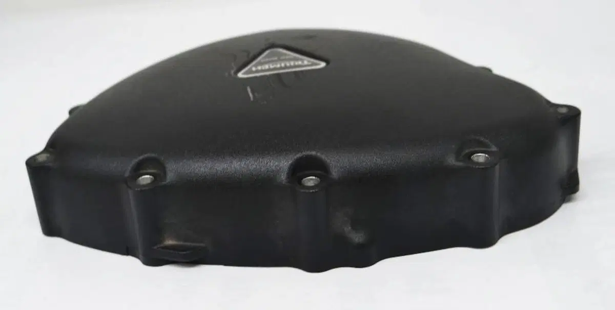 Carter Alternatore Triumph (3)