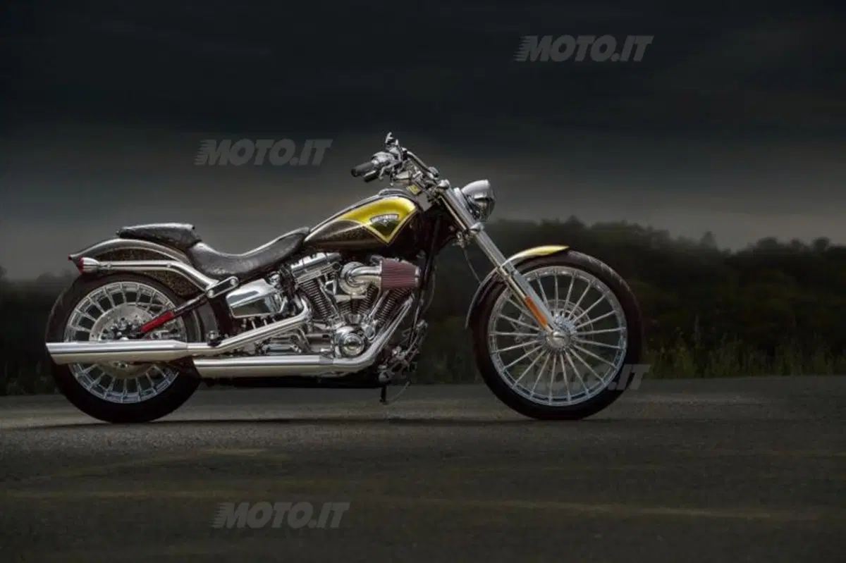 Le novità Harley-Davidson 2013 (3)