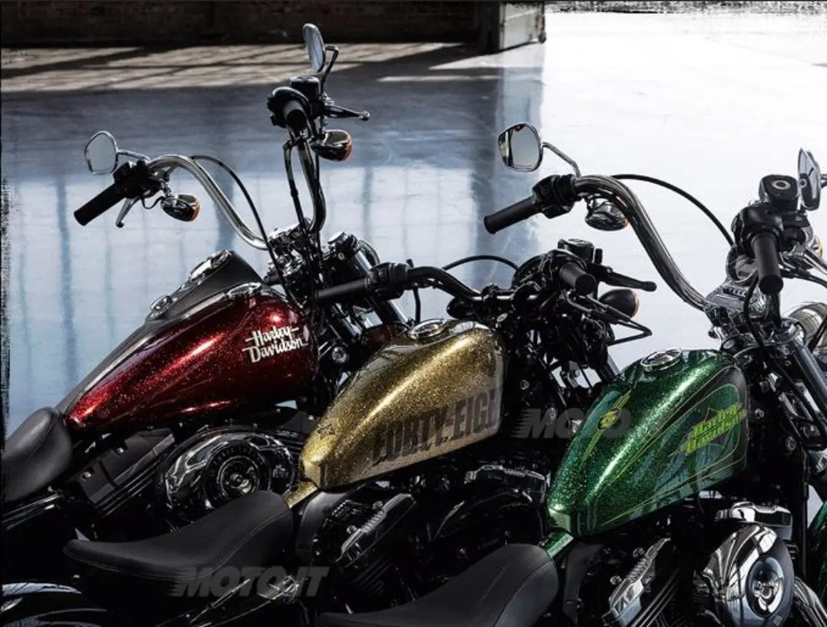 Le novità Harley-Davidson 2013 (5)