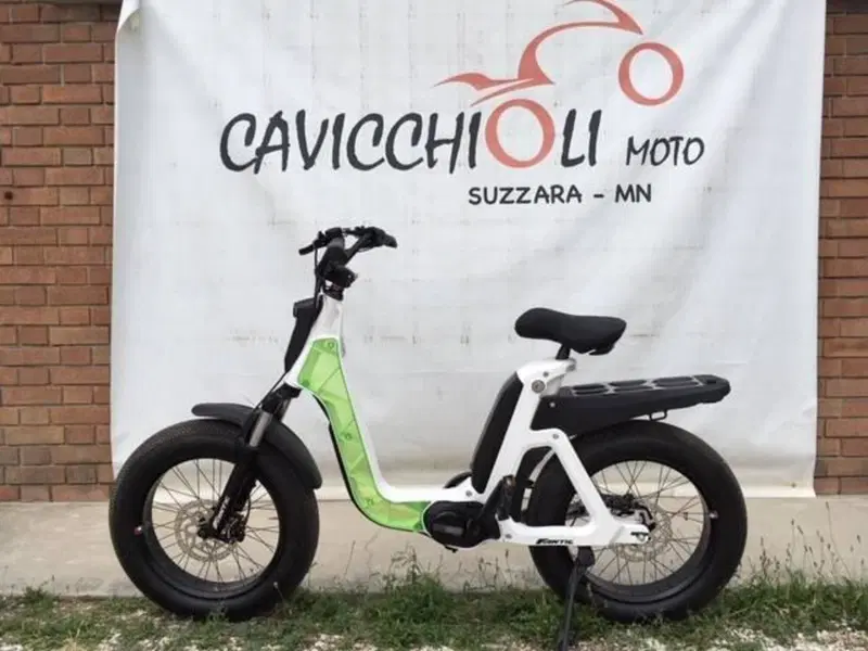 Fantic Motor Issimo (2019 - 23) (12)