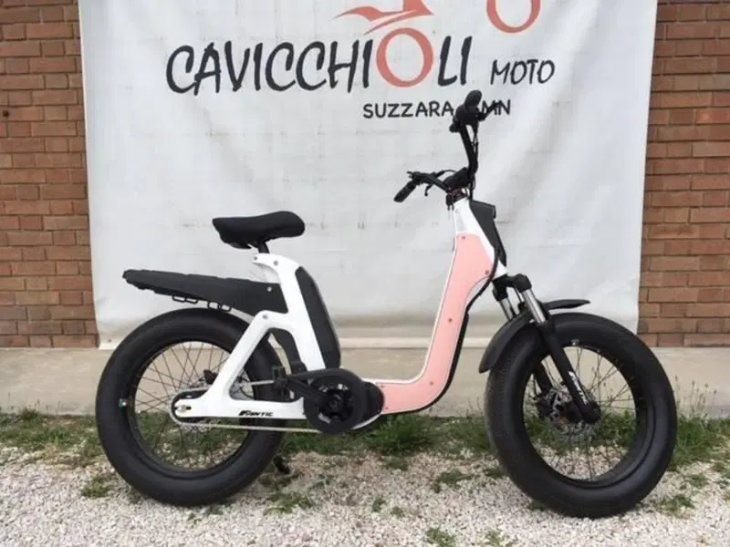 Fantic Motor Issimo (2019 - 23) (14)