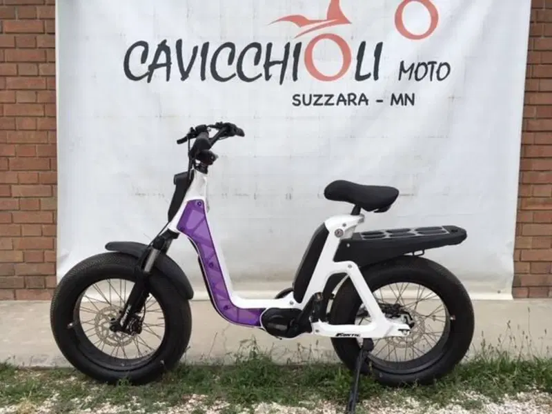 Fantic Motor Issimo (2019 - 23) (16)