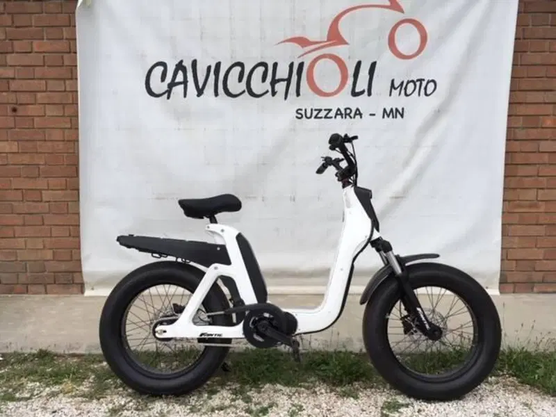Fantic Motor Issimo (2019 - 23) (17)