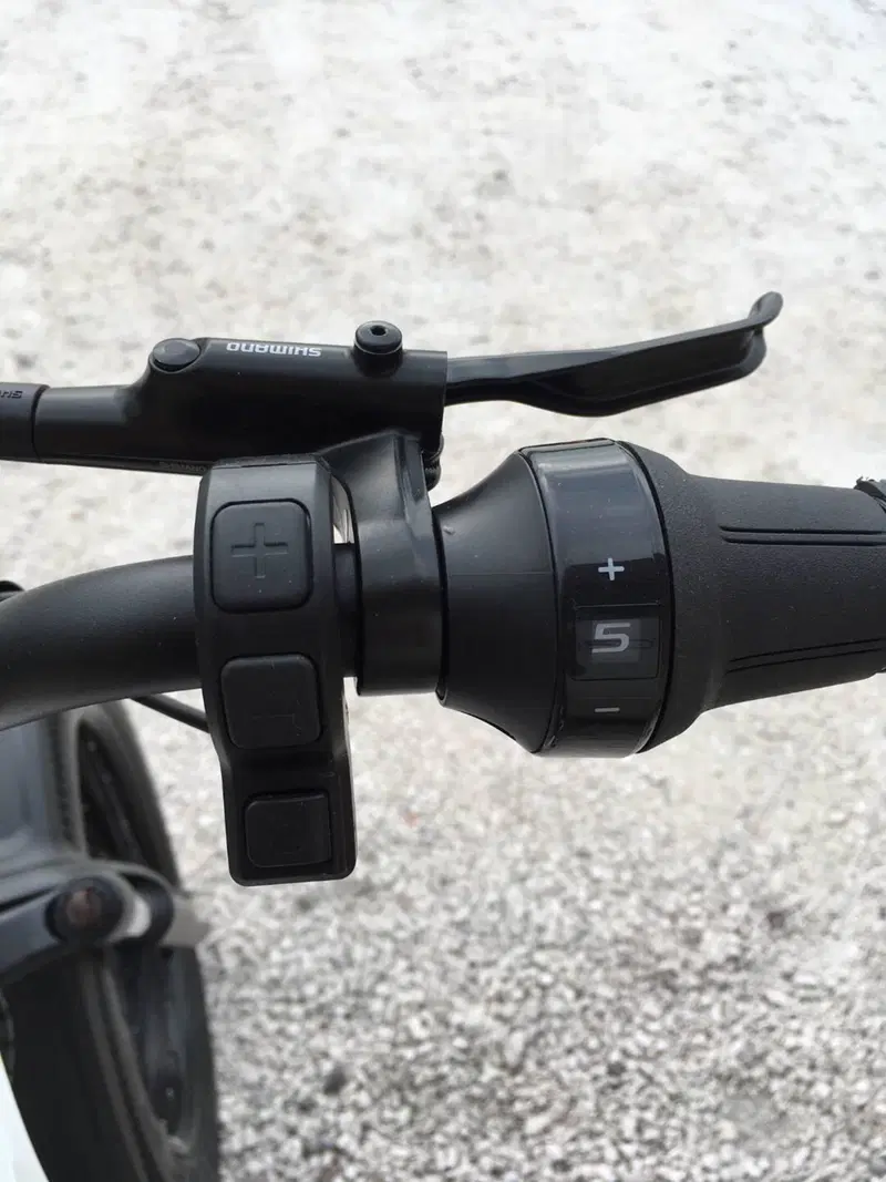 Fantic Motor Issimo (2019 - 23) (7)