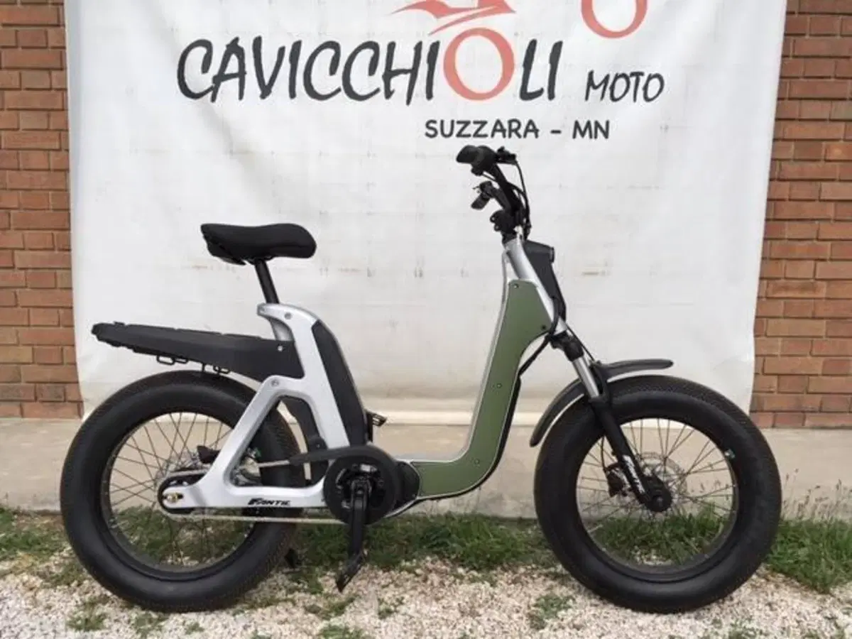 Fantic Motor Issimo (2019 - 23) (14)