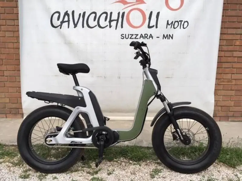 Fantic Motor Issimo (2019 - 23) (14)