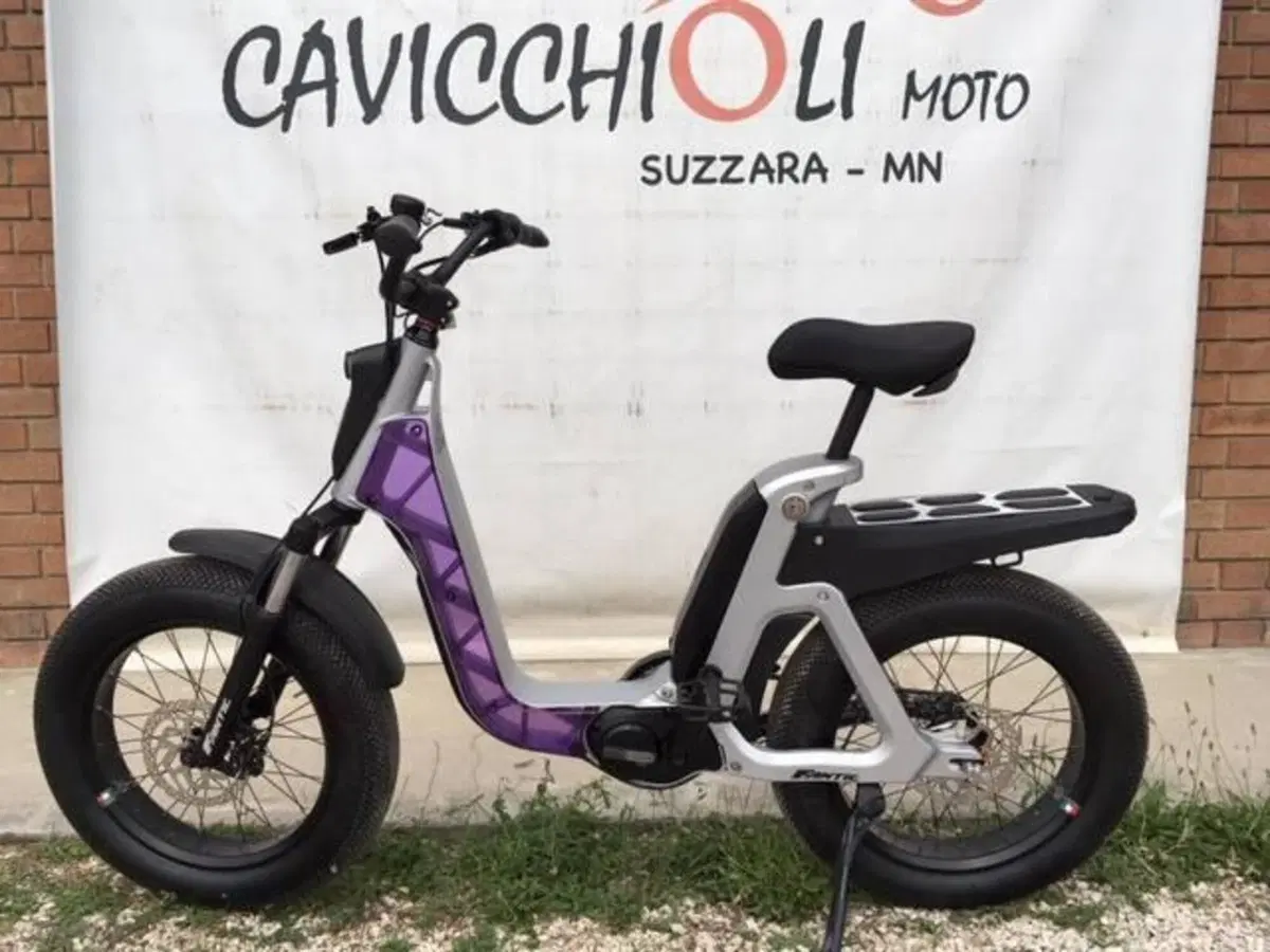 Fantic Motor Issimo (2019 - 23) (16)