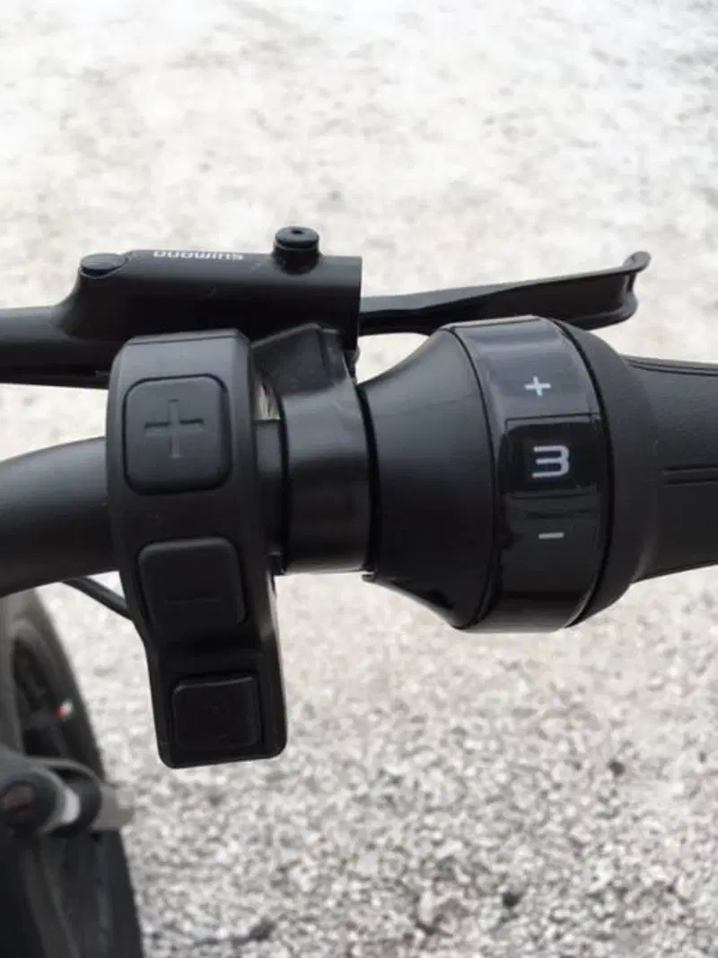 Fantic Motor Issimo (2019 - 23) (6)