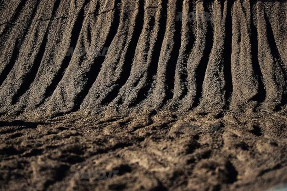 Motocross. Le foto più spettacolari del GP di Lierop (62)