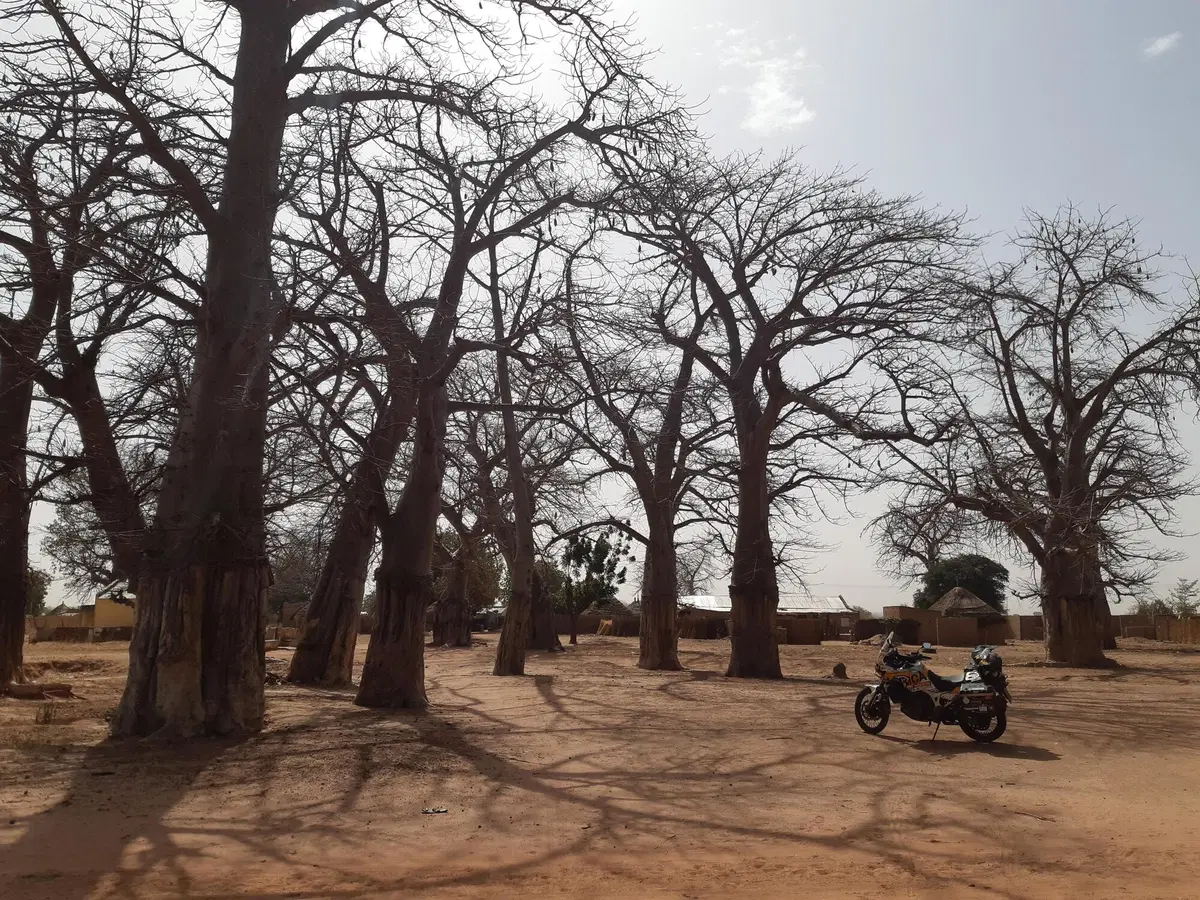 Rosario Sala: 'L'Africa secondo me' (33)
